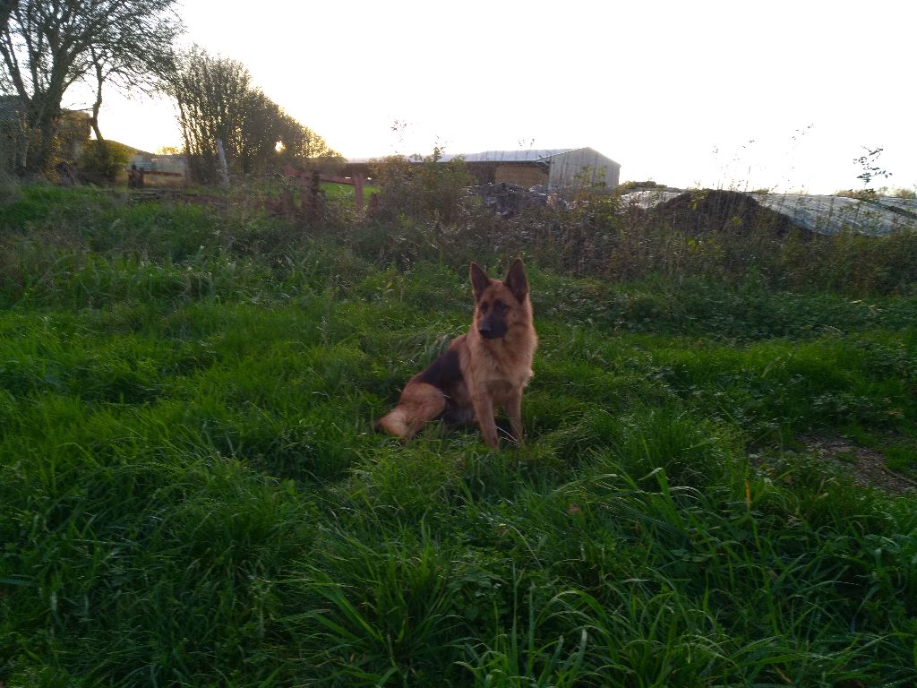 Lola de la Petite Laeticia